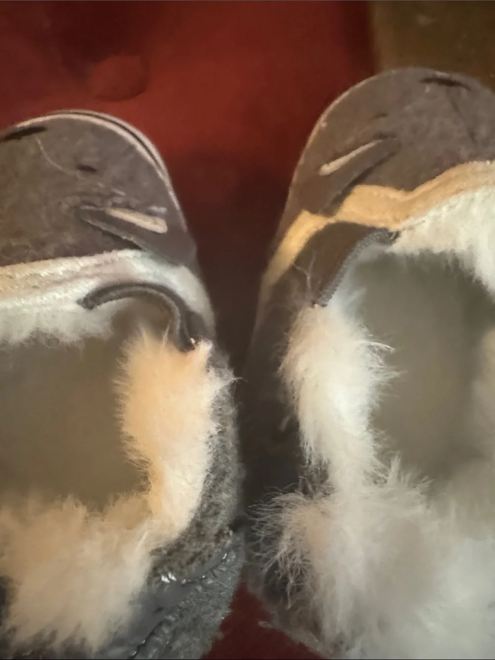 Robeez soft gray
